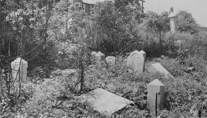 Black-and-white photograph of overgrown gravestones at Laurel Cemetery in 1951.